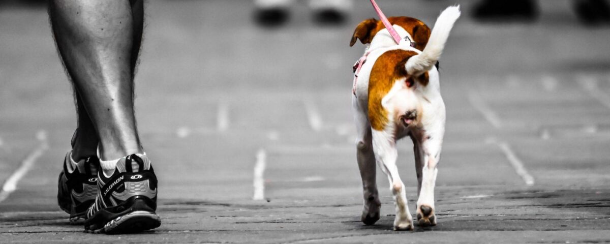 Vecino responsable, pueblo impecable